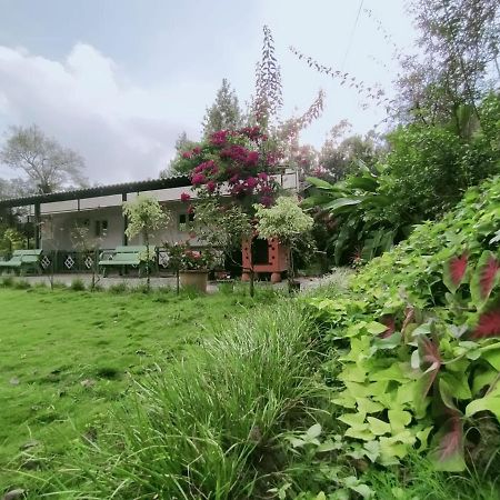 Silvershine Homestay Chikmagalūr Kültér fotó
