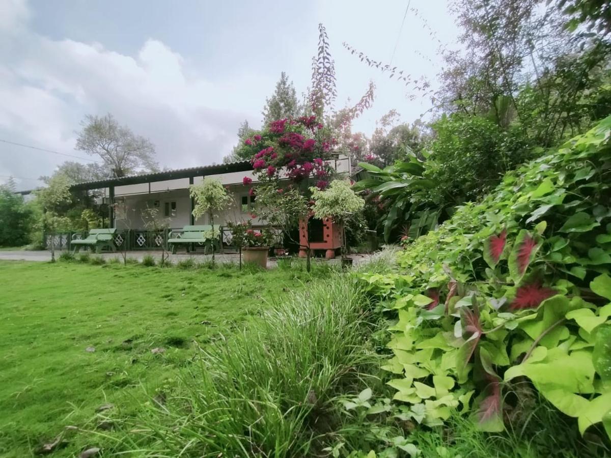 Silvershine Homestay Chikmagalūr Kültér fotó