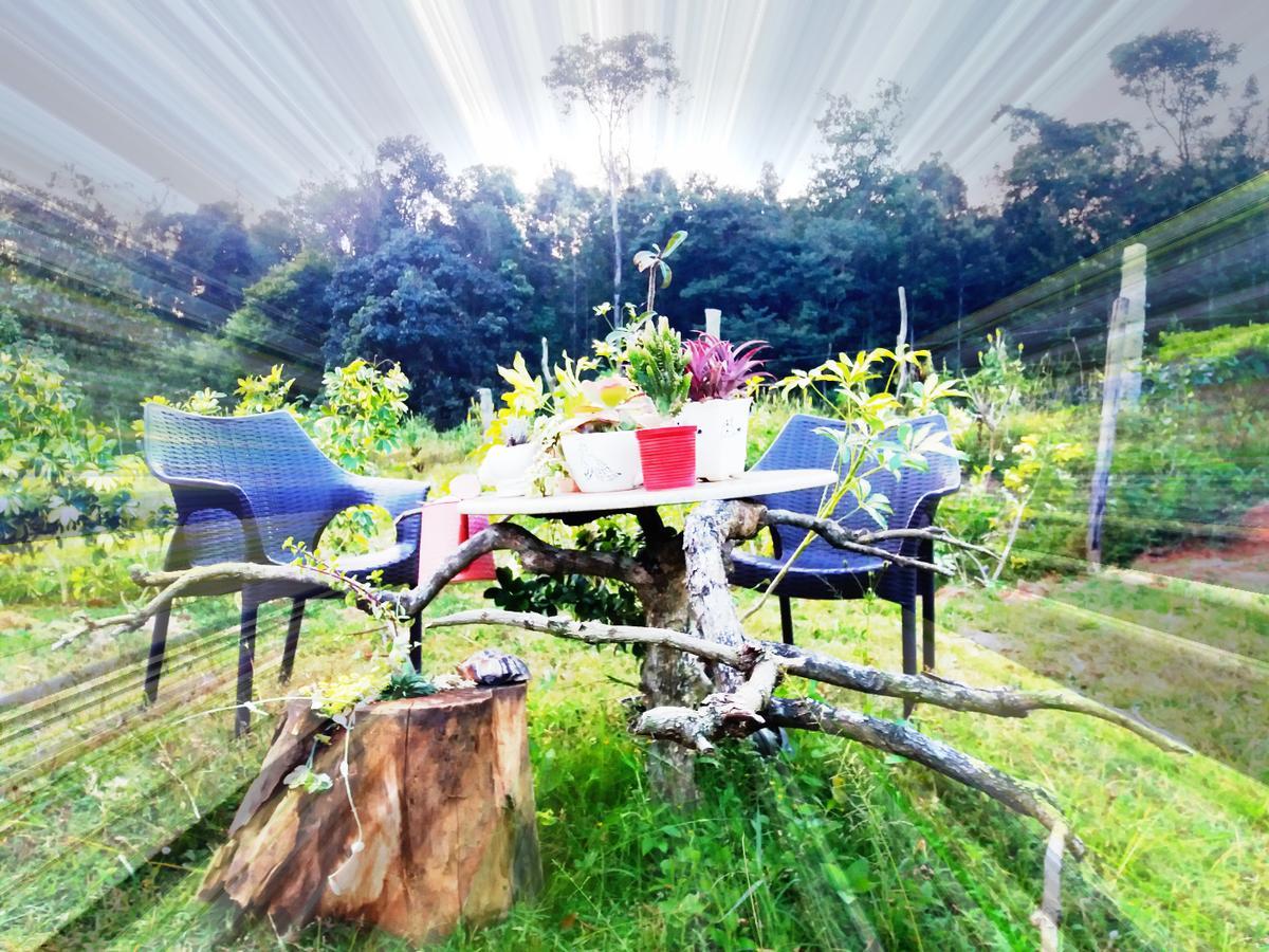 Silvershine Homestay Chikmagalūr Kültér fotó