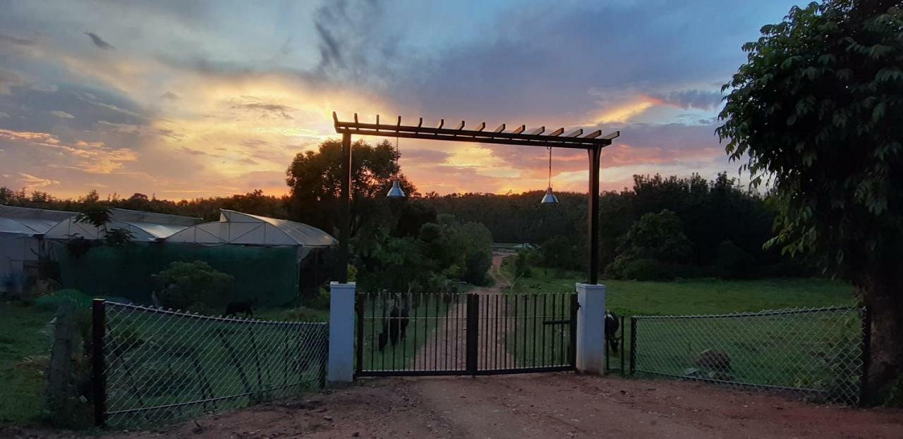 Silvershine Homestay Chikmagalūr Kültér fotó